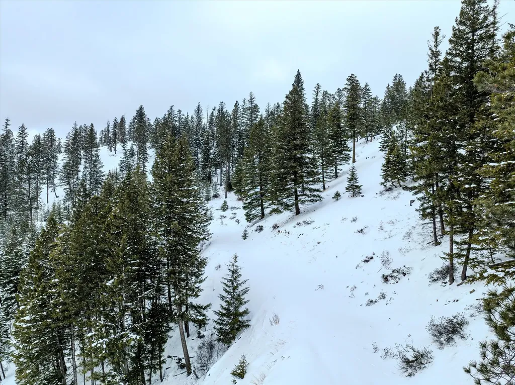Nhn Mcginnis Meadows - Bayhorse Road Section 1 Libby MT 59923