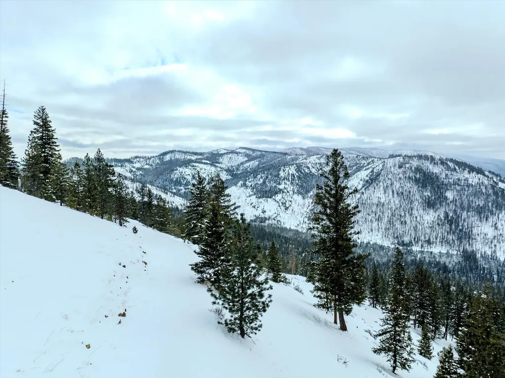 Nhn Mcginnis Meadows - Bayhorse Road Section 1 Libby MT 59923