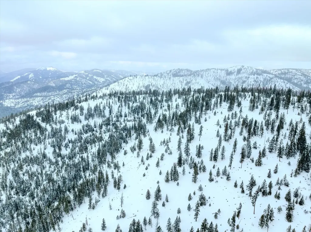 Nhn Mcginnis Meadows - Bayhorse Road Section 1 Libby MT 59923