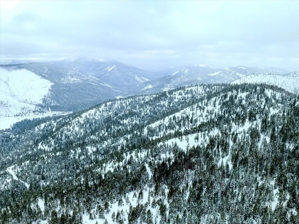 Nhn Mcginnis Meadows - Bayhorse Road Section 1 Libby MT 59923