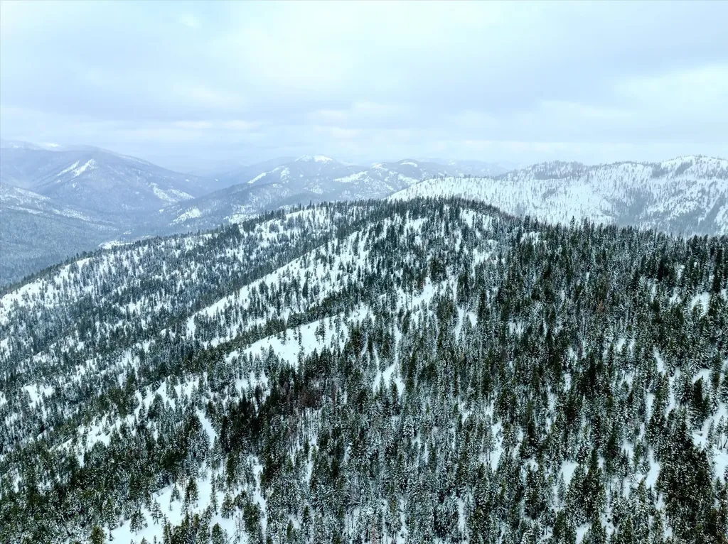 Nhn Mcginnis Meadows - Bayhorse Road Section 1 Libby MT 59923