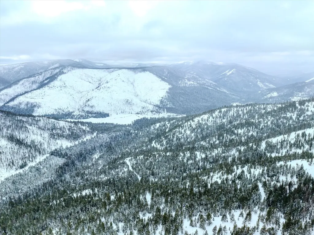 Nhn Mcginnis Meadows - Bayhorse Road Section 1 Libby MT 59923