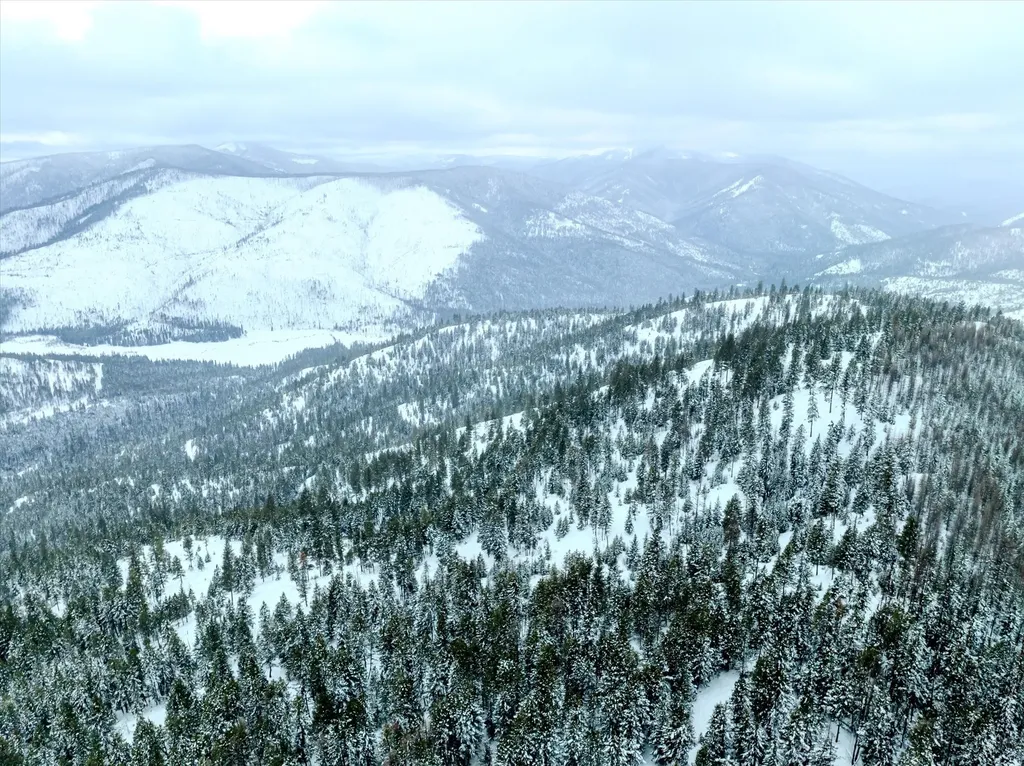 Nhn Mcginnis Meadows - Bayhorse Road Section 1 Libby MT 59923