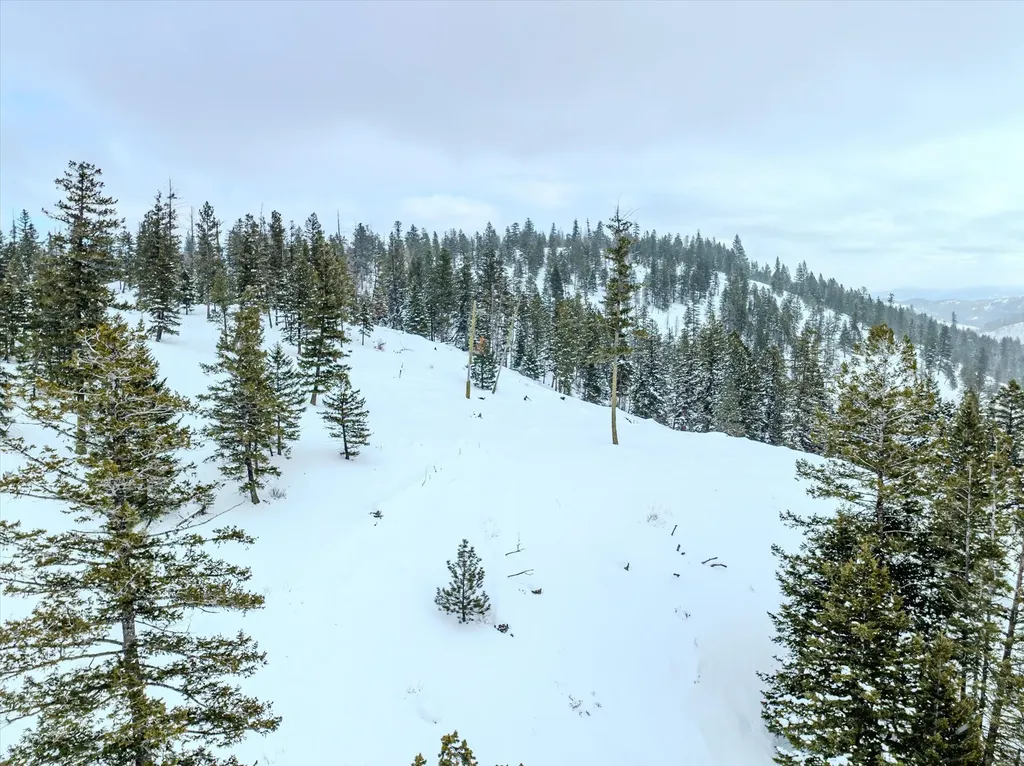Nhn Mcginnis Meadows - Bayhorse Road Section 1 Libby MT 59923