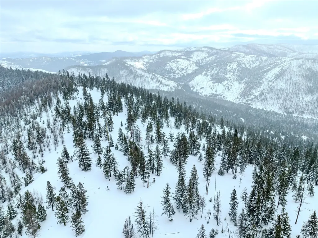 Nhn Mcginnis Meadows - Bayhorse Road Section 1 Libby MT 59923
