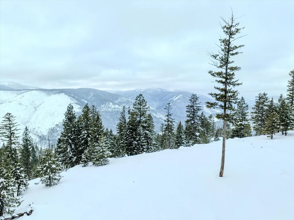Nhn Mcginnis Meadows - Bayhorse Road Section 1 Libby MT 59923