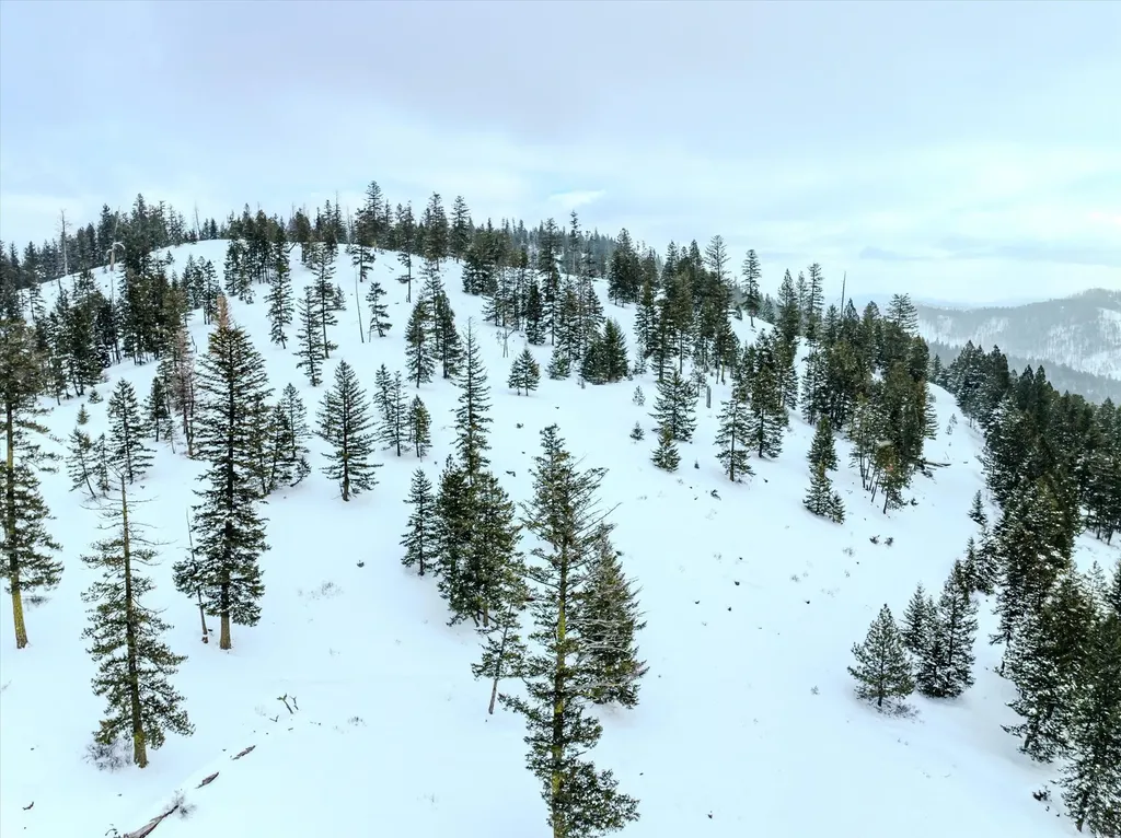 Nhn Mcginnis Meadows - Bayhorse Road Section 1 Libby MT 59923