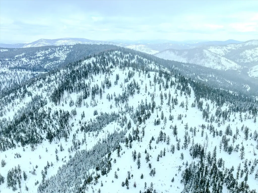 Nhn Mcginnis Meadows - Bayhorse Road Section 1 Libby MT 59923