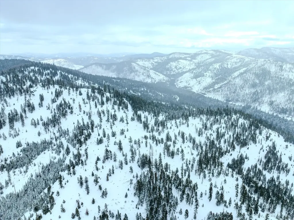 Nhn Mcginnis Meadows - Bayhorse Road Section 1 Libby MT 59923