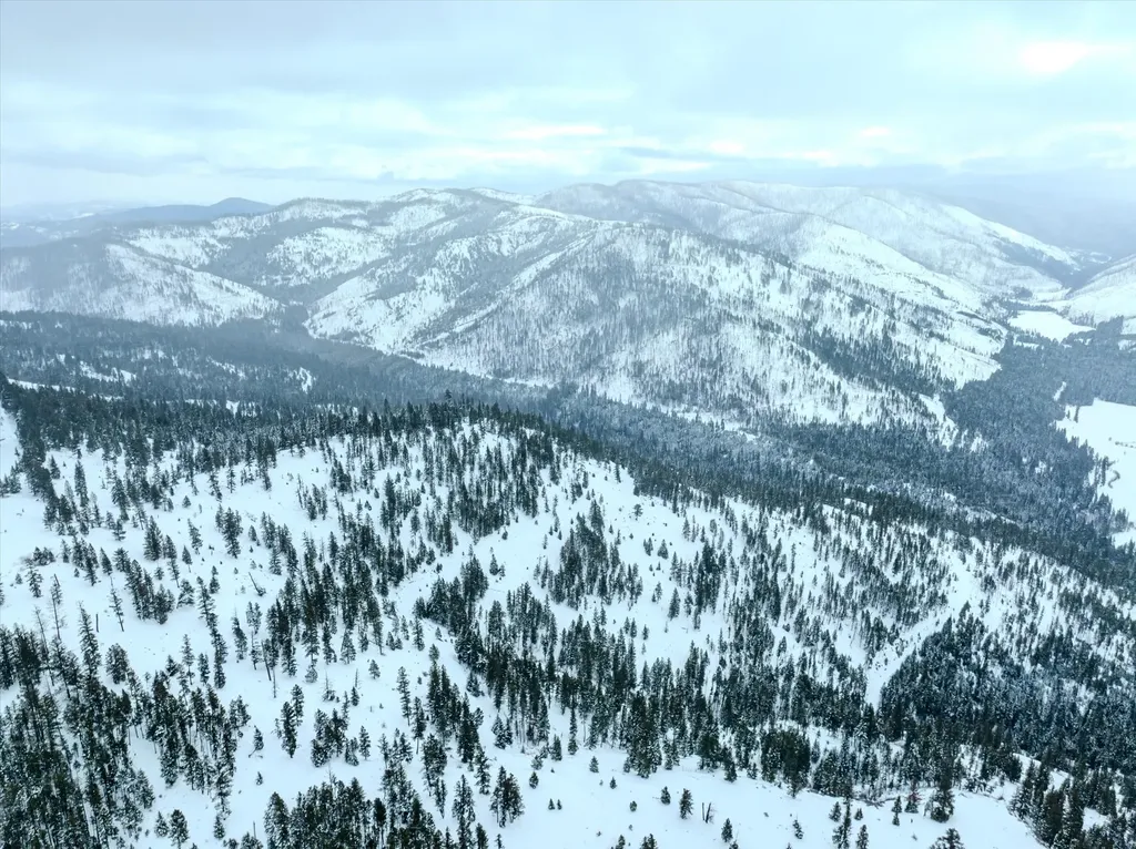 Nhn Mcginnis Meadows - Bayhorse Road Section 1 Libby MT 59923
