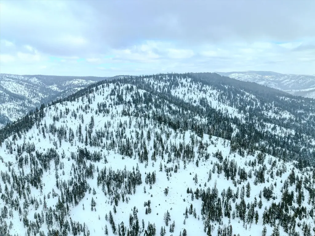 Nhn Mcginnis Meadows - Bayhorse Road Section 1 Libby MT 59923
