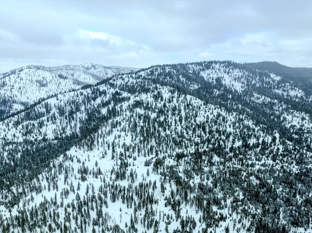 Nhn Mcginnis Meadows - Bayhorse Road Section 1 Libby MT 59923