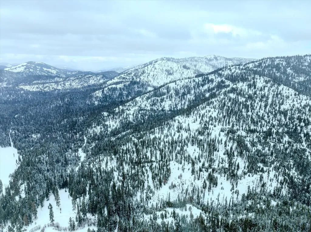 Nhn Mcginnis Meadows - Bayhorse Road Section 1 Libby MT 59923
