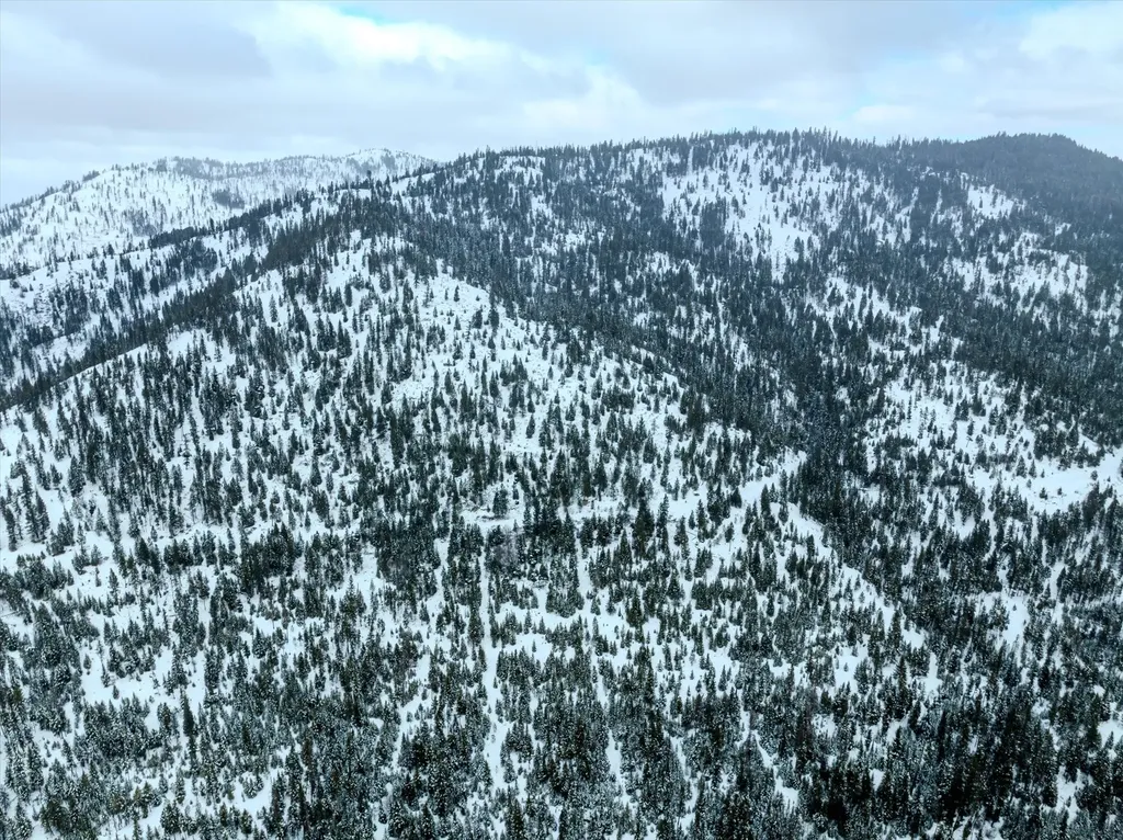 Nhn Mcginnis Meadows - Bayhorse Road Section 1 Libby MT 59923