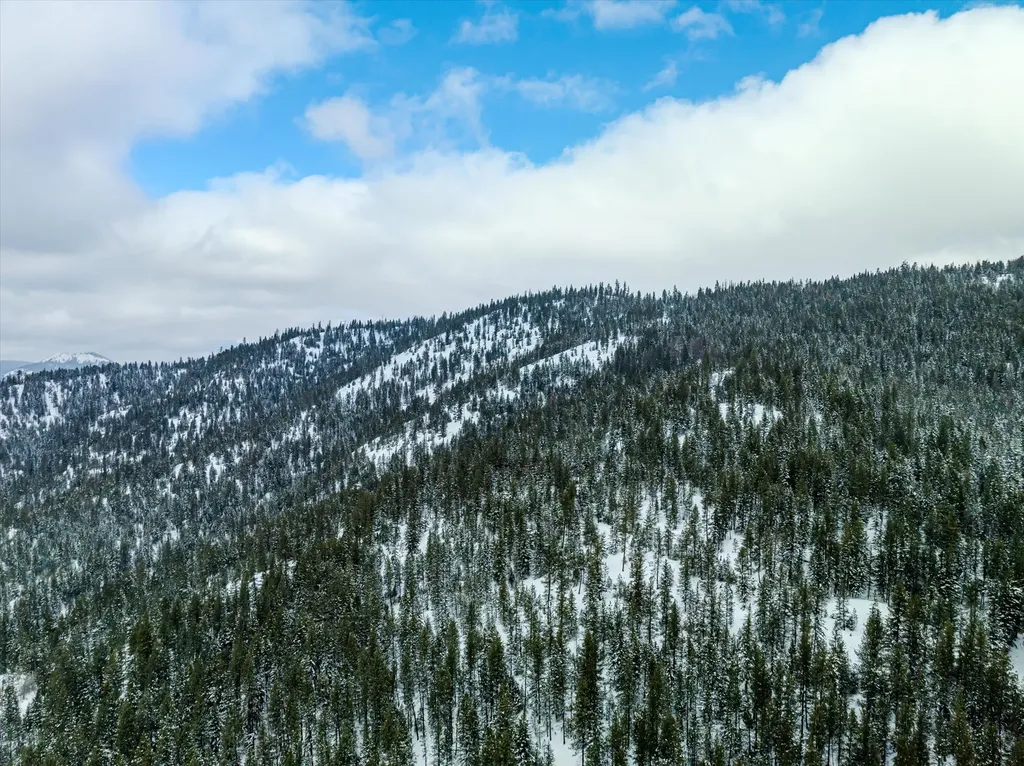 Nhn Mcginnis Meadows - Bayhorse Road Section 1 Libby MT 59923