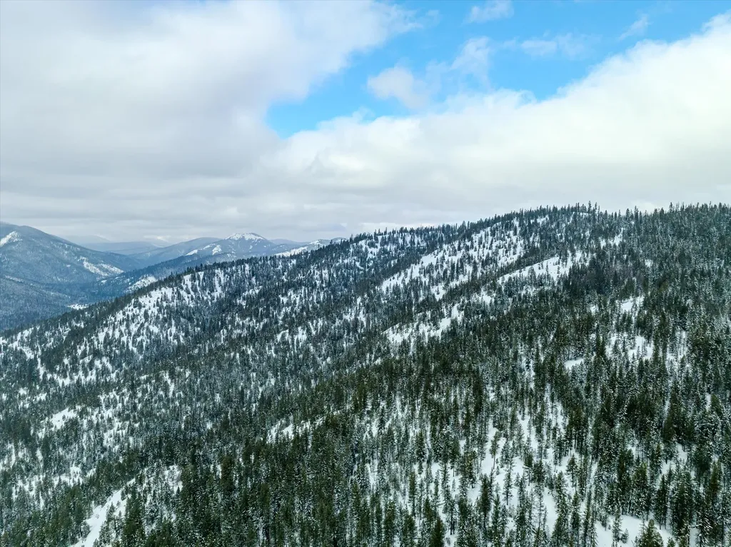 Nhn Mcginnis Meadows - Bayhorse Road Section 1 Libby MT 59923
