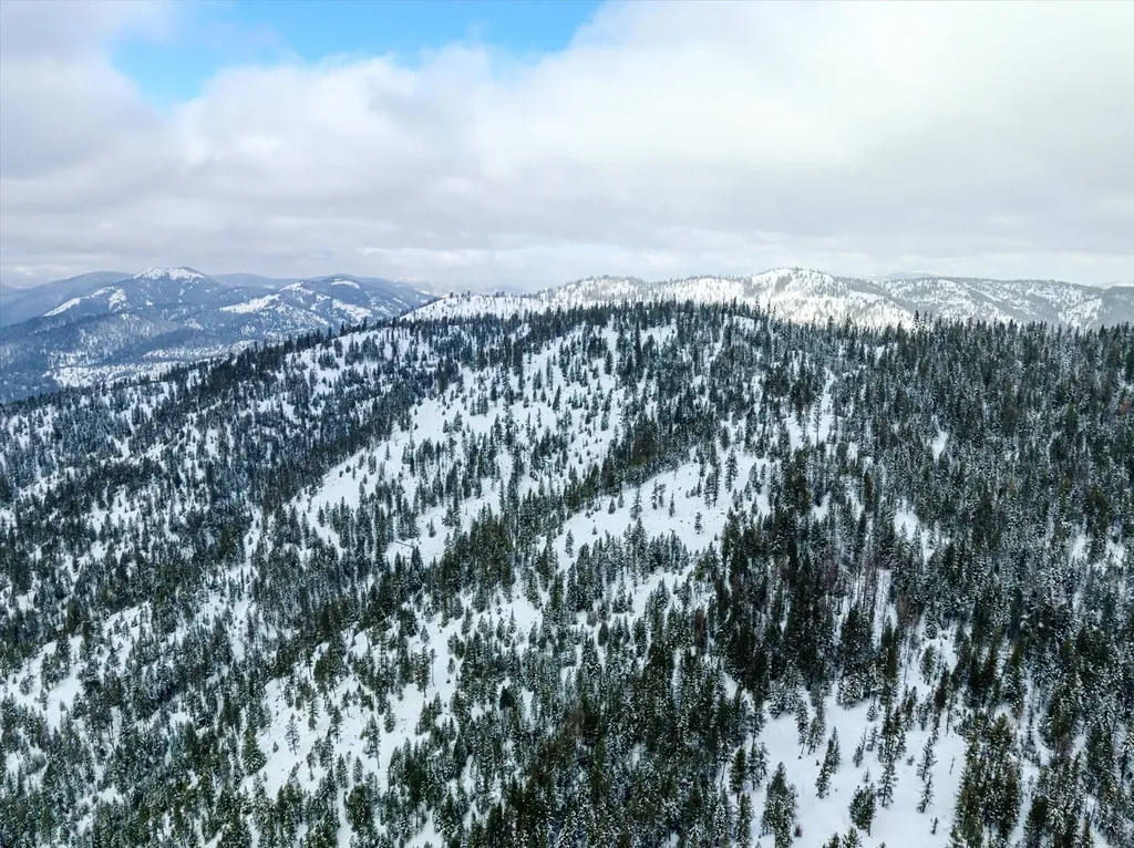 Nhn Mcginnis Meadows - Bayhorse Road Section 1 Libby MT 59923