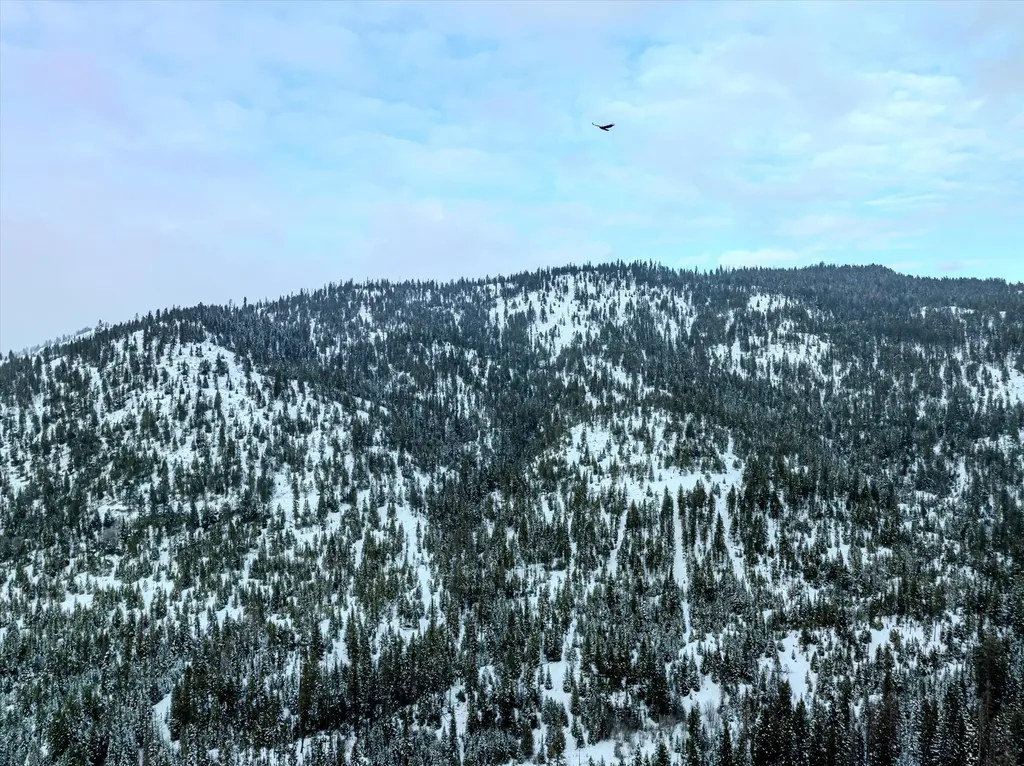 Nhn Mcginnis Meadows - Bayhorse Road Section 1 Libby MT 59923