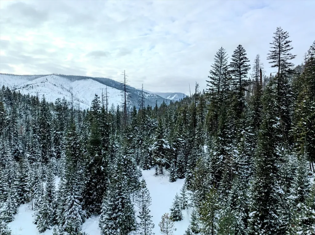 Nhn Mcginnis Meadows - Bayhorse Road Section 1 Libby MT 59923