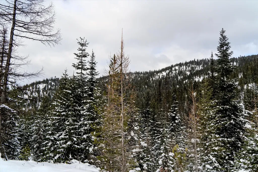 Nhn Mcginnis Meadows - Bayhorse Road Section 1 Libby MT 59923