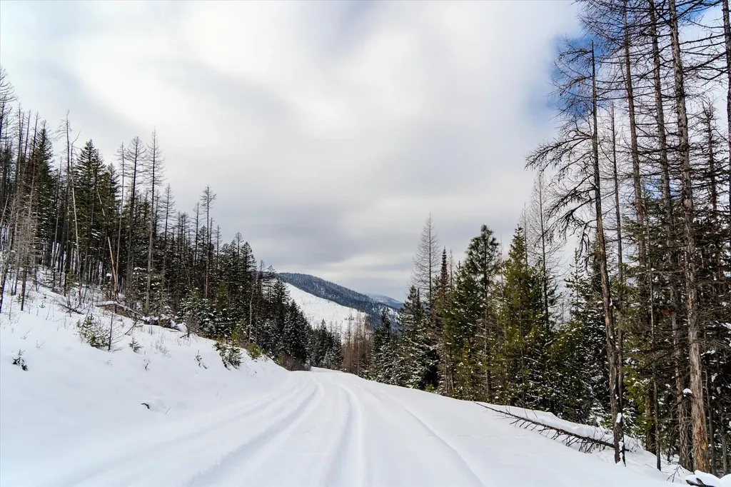 Nhn Mcginnis Meadows - Bayhorse Road Section 1 Libby MT 59923