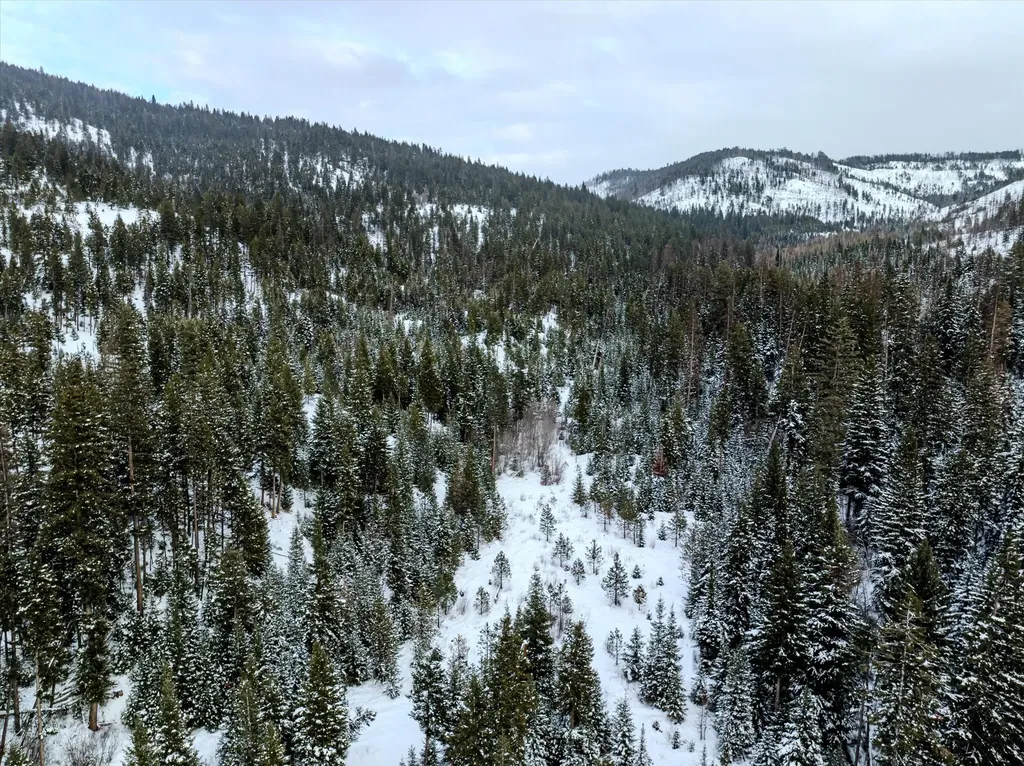 Nhn Mcginnis Meadows - Bayhorse Road Section 1 Libby MT 59923