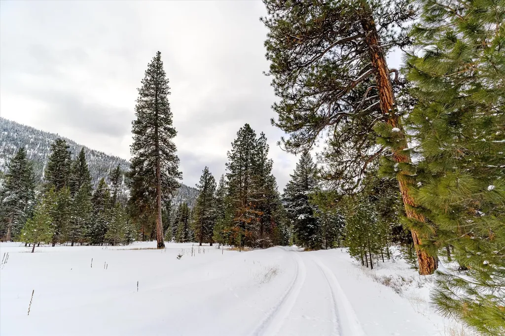 Nhn E Fisher Road Libby MT 59923