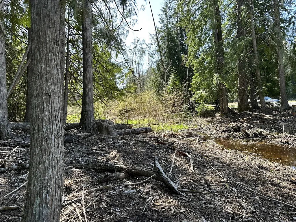 1127 Mount Highway 200 Noxon MT 59853