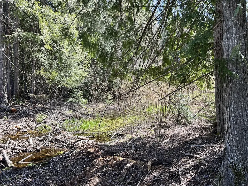 1127 Mount Highway 200 Noxon MT 59853