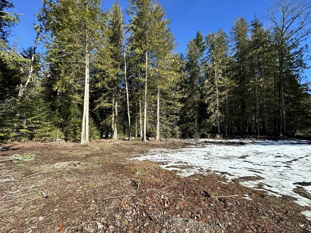 1127 Mount Highway 200 Noxon MT 59853