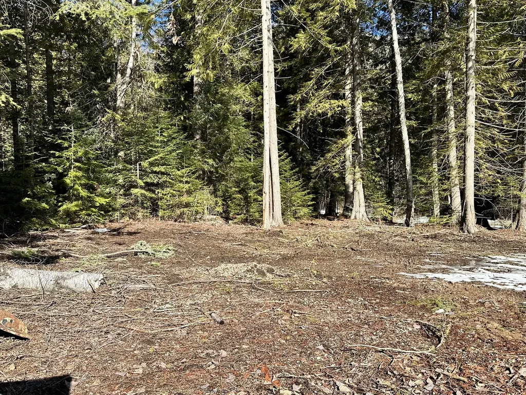 1127 Mount Highway 200 Noxon MT 59853