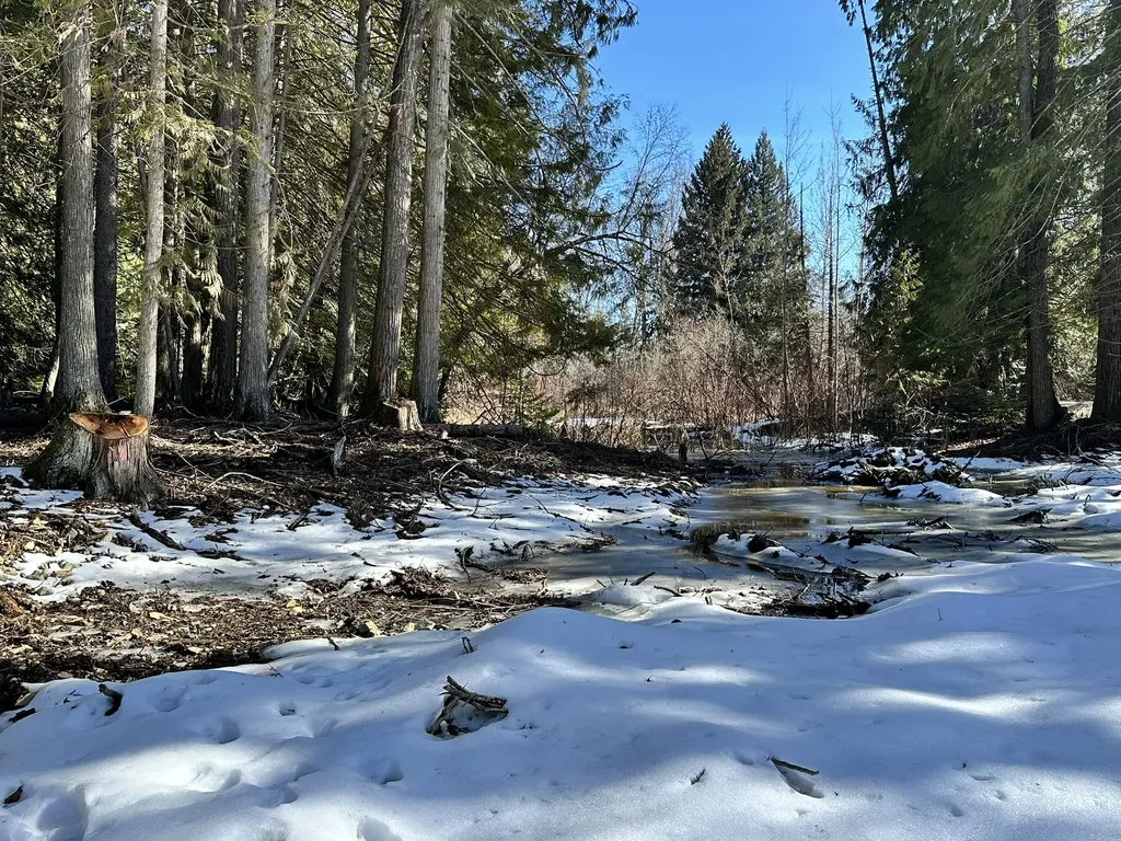 1127 Mount Highway 200 Noxon MT 59853