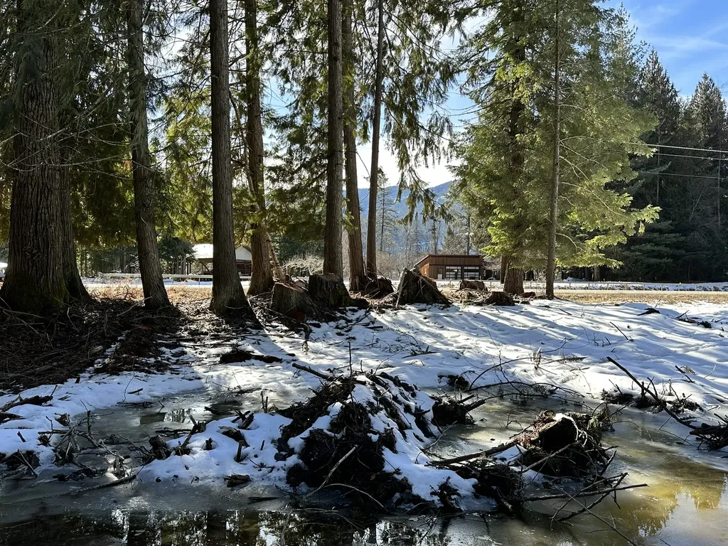 1127 Mount Highway 200 Noxon MT 59853