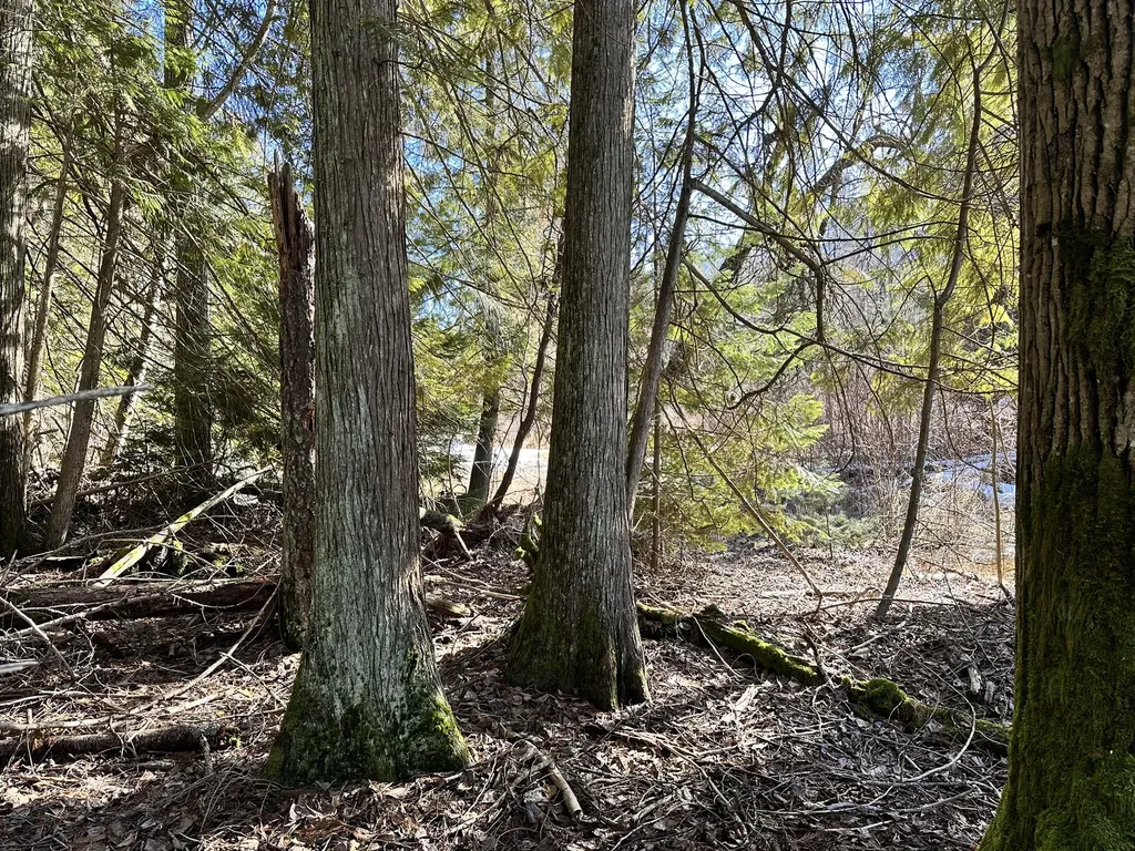 1127 Mount Highway 200 Noxon MT 59853