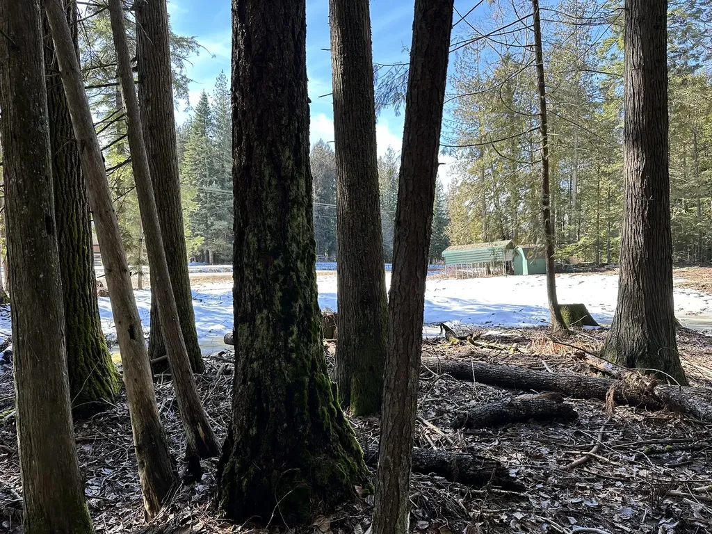 1127 Mount Highway 200 Noxon MT 59853