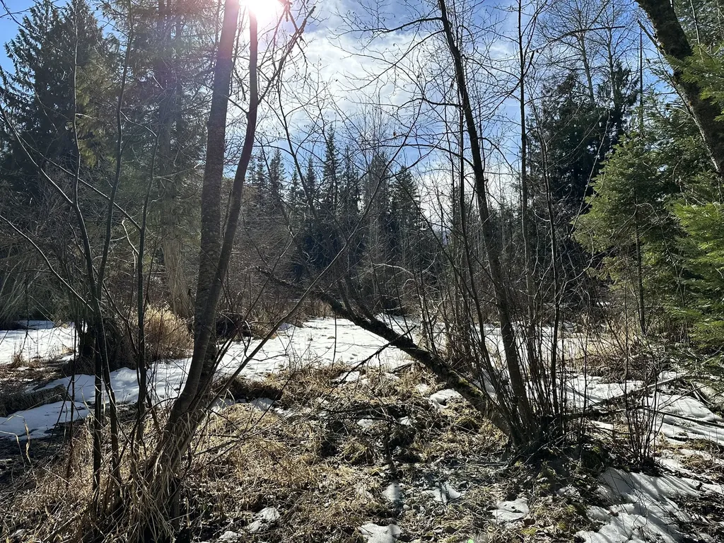 1127 Mount Highway 200 Noxon MT 59853