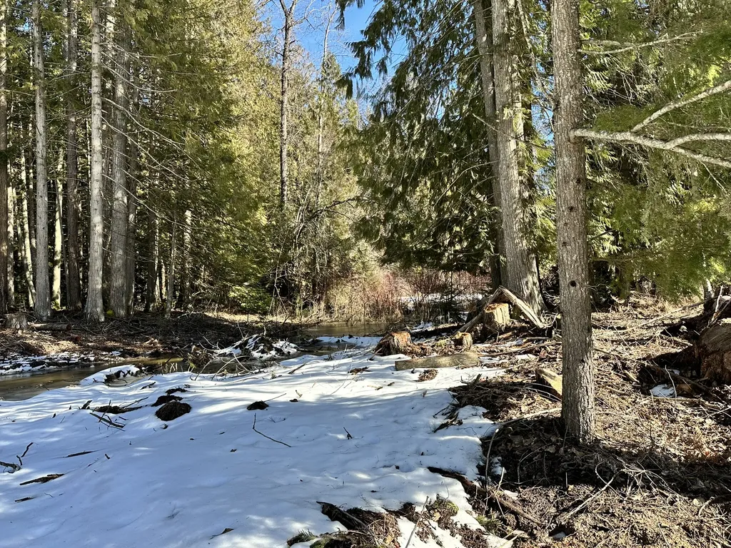 1127 Mount Highway 200 Noxon MT 59853