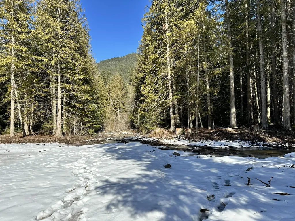 1127 Mount Highway 200 Noxon MT 59853