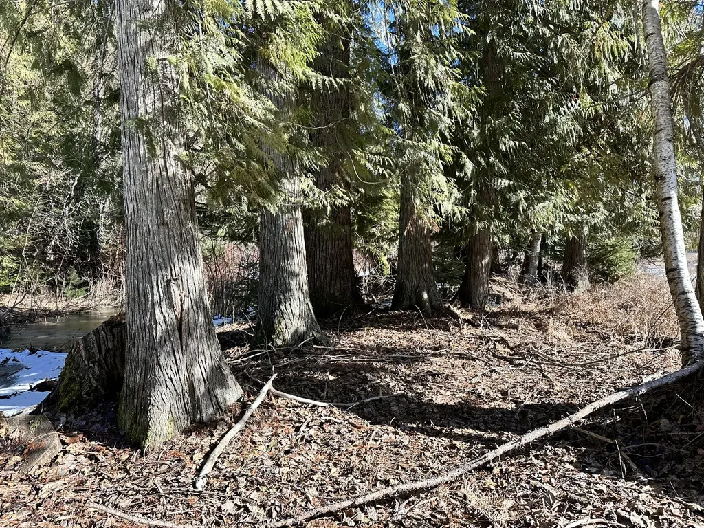 1127 Mount Highway 200 Noxon MT 59853