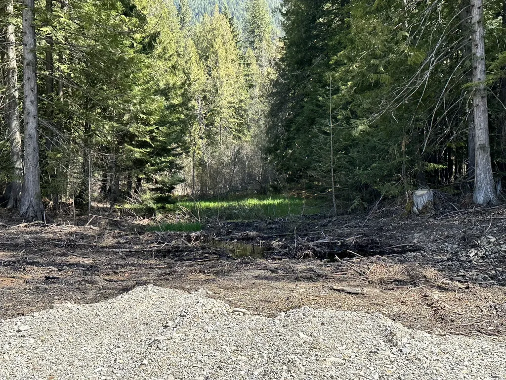 1127 Mount Highway 200 Noxon MT 59853