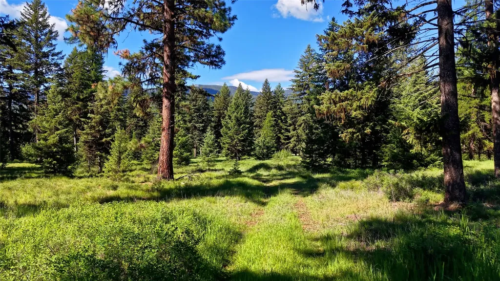 31200 Ninemile Road Huson MT 59846