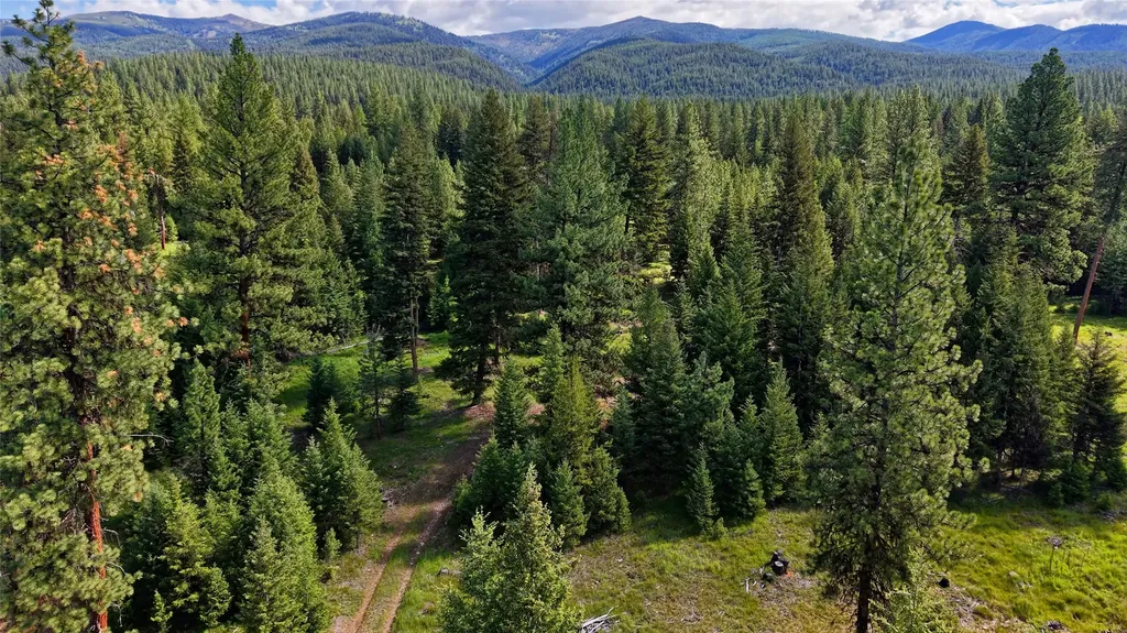31200 Ninemile Road Huson MT 59846