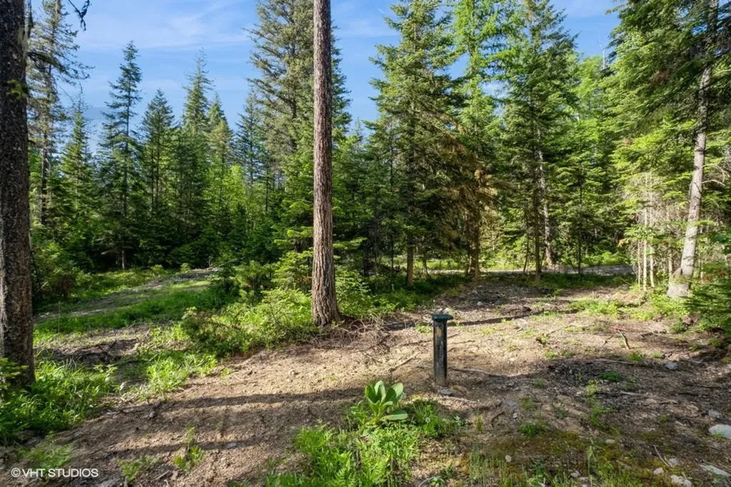 19132 High Road Lane Bigfork MT 59911