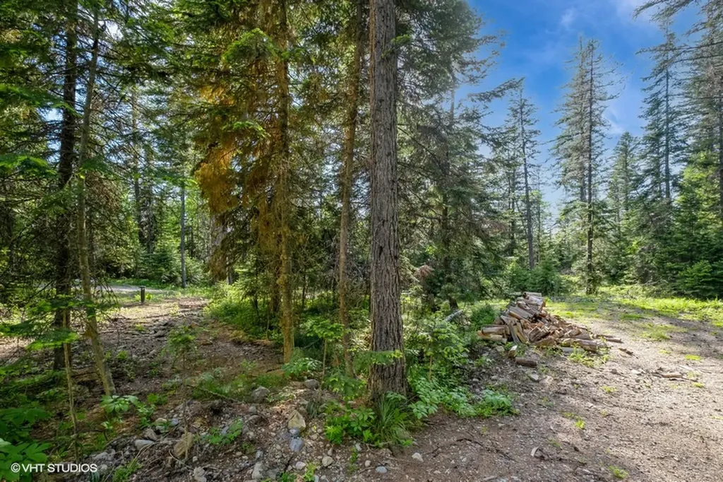 19132 High Road Lane Bigfork MT 59911