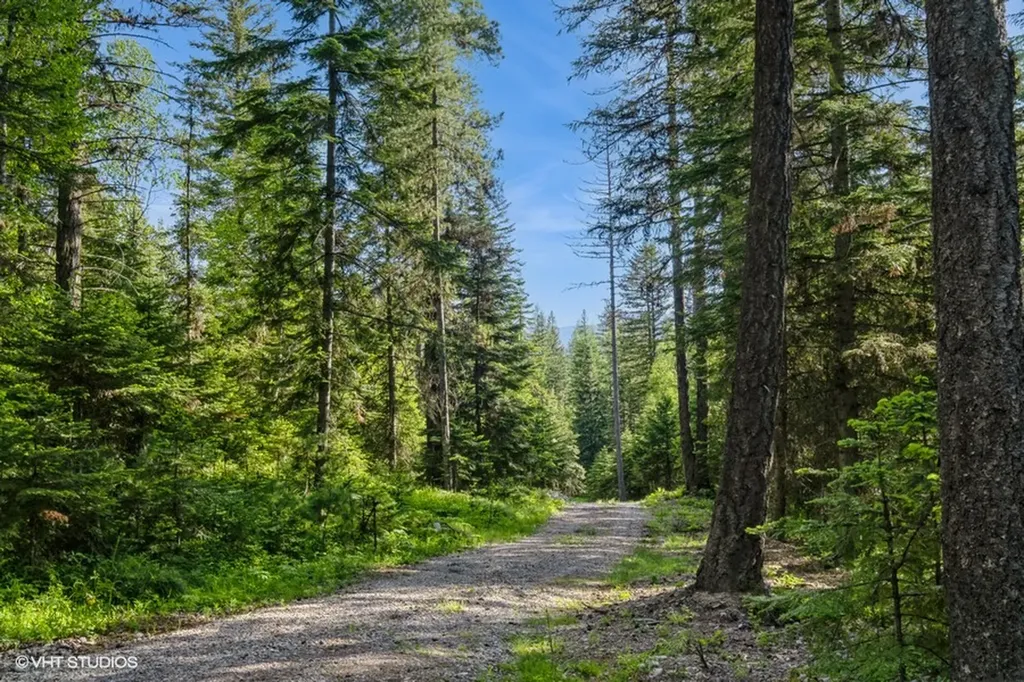 19132 High Road Lane Bigfork MT 59911