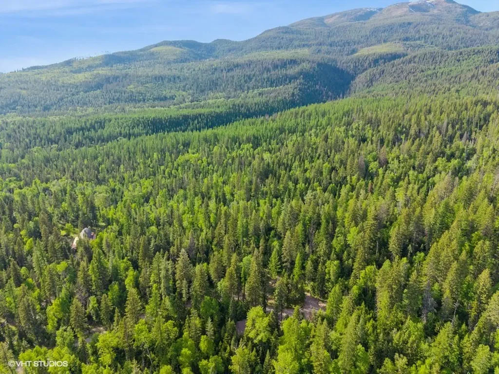 19132 High Road Lane Bigfork MT 59911