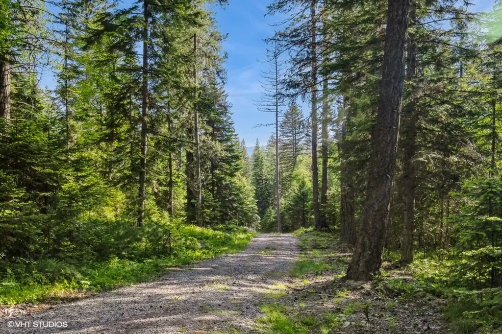 19132 High Road Lane Bigfork MT 59911