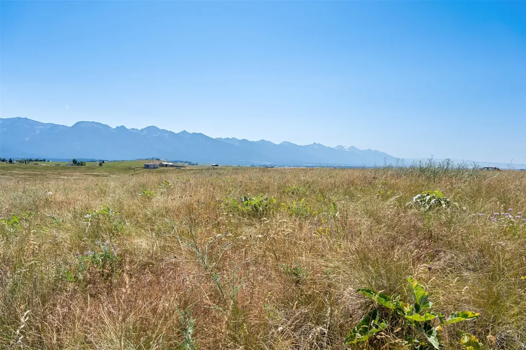 596 Claffey Drive Polson MT 59860