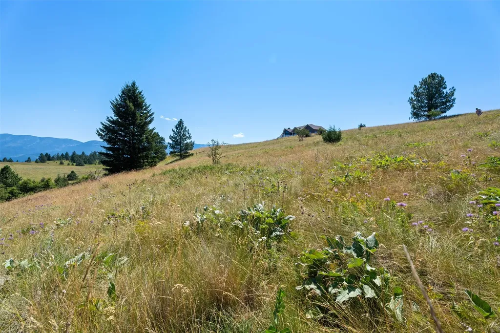 596 Claffey Drive Polson MT 59860