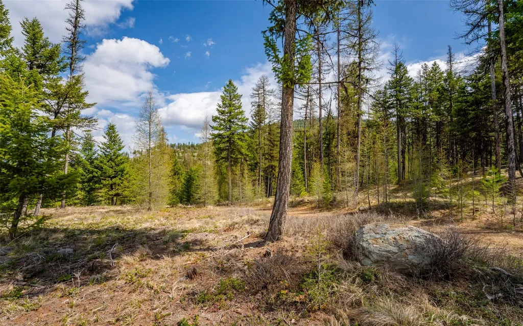 120 Marion Pines Drive Marion MT 59925
